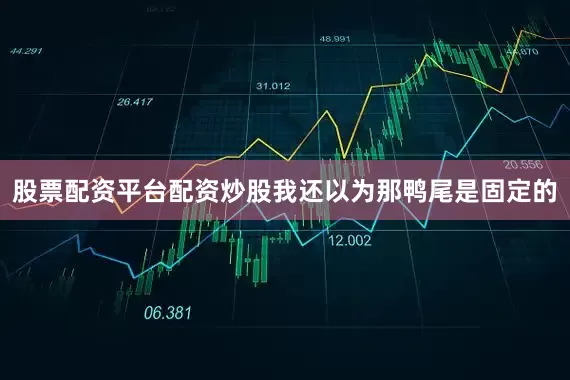 股票配资平台配资炒股我还以为那鸭尾是固定的