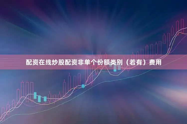 配资在线炒股配资非单个份额类别（若有）费用