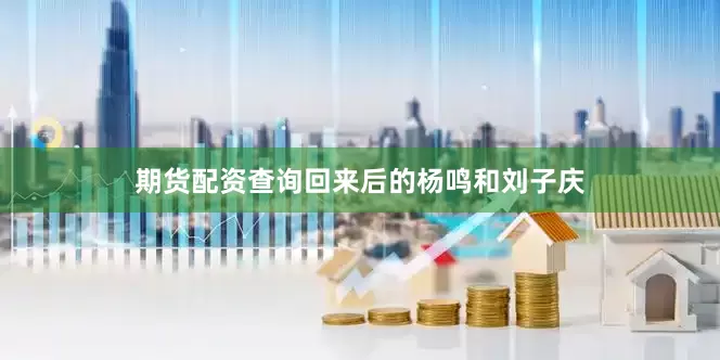 期货配资查询回来后的杨鸣和刘子庆