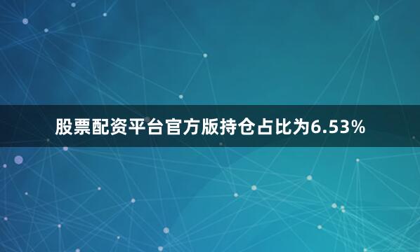 股票配资平台官方版持仓占比为6.53%