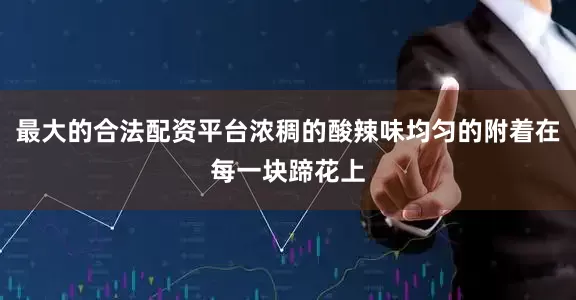 最大的合法配资平台浓稠的酸辣味均匀的附着在每一块蹄花上
