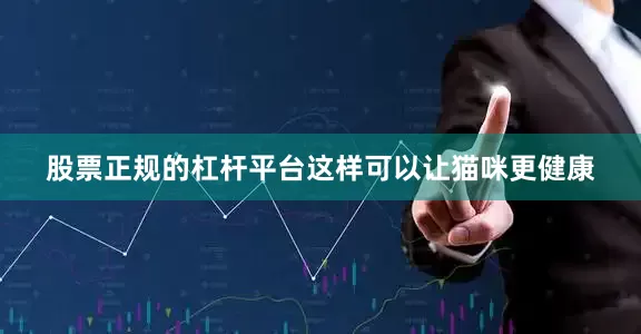 股票正规的杠杆平台这样可以让猫咪更健康
