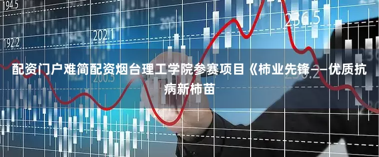 配资门户难简配资烟台理工学院参赛项目《柿业先锋——优质抗病新柿苗